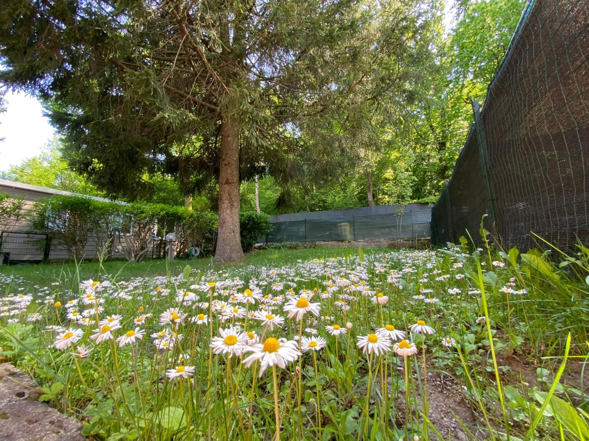Camping Montorfano Dış mekan fotoğraf